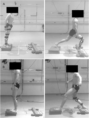 Neuromechanics of Dynamic Balance Tasks in the Presence of Perturbations